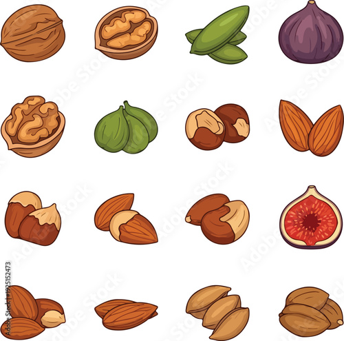 Collection of cartoon style nuts and figs with a white background walnut almond hazelnut