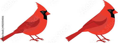 Stylized red cardinal birds facing each other, symmetrical wildlife illustration, bold graphic design, nature theme, artistic representation of avian beauty