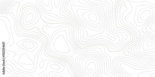 Abstract pattern with lines seamless pattern and topography. The stylized height of the topographic map contour in lines and contours isolated on transparent.