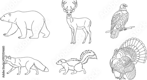 Wild animals collection, forest wildlife line art, bear, deer, eagle, fox, skunk, turkey, nature vector set, outdoor creatures, hunting silhouettes, fauna.