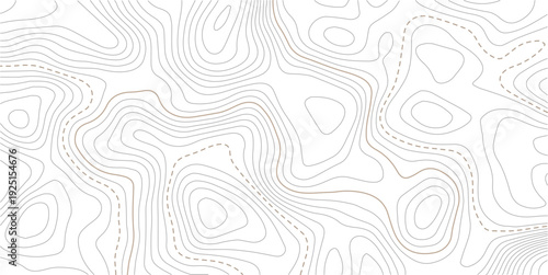 Abstract pattern with lines seamless pattern and topography. The stylized height of the topographic map contour in lines and contours isolated on transparent.