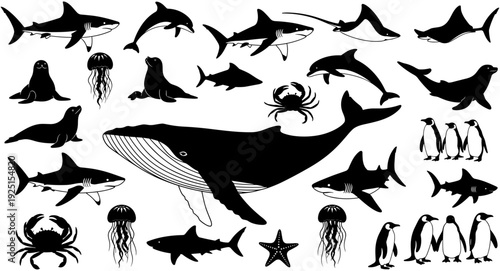 Set, of, marine, animal, silhouettes, including, whales, sharks, dolphins, seals, penguins, crabs, and, jellyfish, isolated, on, white, background, vector, for, design.