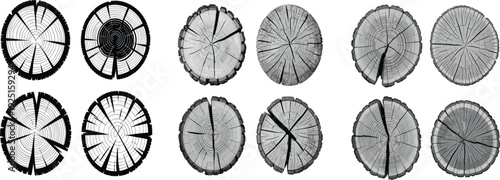 Detailed tree trunk cross section wood rings texture set with various aged timber saw cut