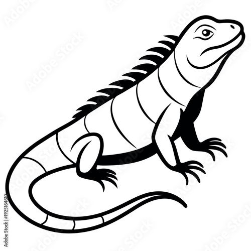 A beautiful iguana clean and clear art 