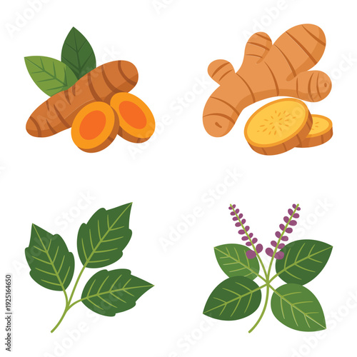 Herbal remedy ingredients with turmeric root, ginger slices and neem leaves, ayurveda healing plants for skincare, tea, wellness vector