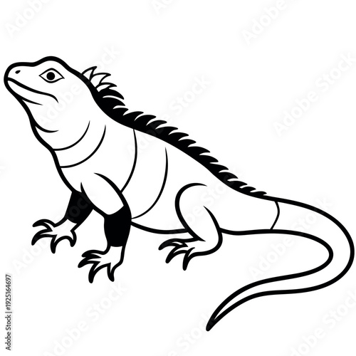 A beautiful iguana clean and clear art 
