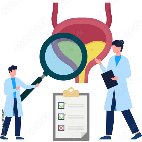 Doctor Performing Bladder Analysis, Urinary System Medical Illustration, Healthcare Concept
