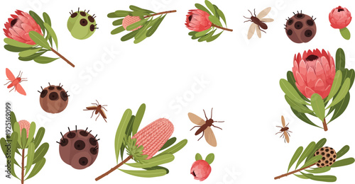 Botanical illustration of eucalyptus flowers leaves and insects in a circular pattern arrangement