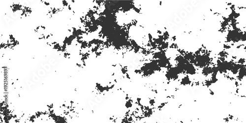 Abstract Texture: A detailed close-up of an abstract texture, where dark organic shapes interplay against a bright backdrop, evoking a sense of artistic freedom and visual interest. 