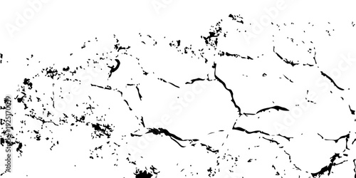 Textured Earth: A close-up view of weathered earth, showcasing intricate cracks and a rough, tactile surface that tells a story of time and nature.