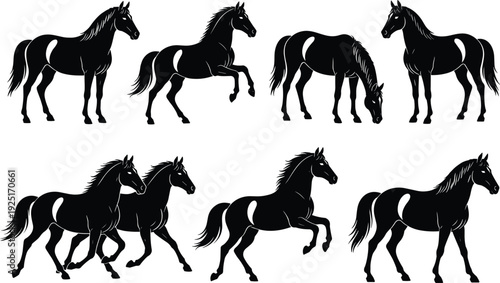 Black vector silhouette set of eight horses in various poses including standing rearing running and grazing for equestrian sports ranch and nature design