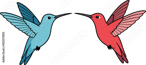 Flat vector illustration of two beautiful hummingbirds in blue and red flying towards each other for nature wildlife garden and bird watching designs