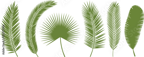 Tropical Palm Leaves Vector Set  Fronds, Fan Palms, and Exotic Foliage