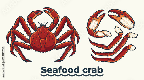 Seafood crab vector illustration showing whole crab and segmented parts, bold stylized design with claws, legs, shell, and culinary presentation