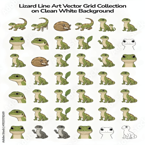 Lizard Reptile Line Art Vector Illustration Isolated on White Background