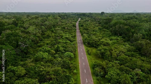 A drone shot shows a straight asphalt road cutting through the dense, lush green forest in Yala National Park, Sri Lanka. The overhead perspective highlights the contrast between human infrastructure