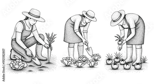 Farmers tending to various crops in a garden, illustrating different stages of cultivation