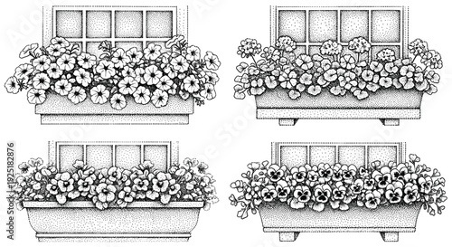 Four different window boxes filled with blooming flowers in a stippled illustration style