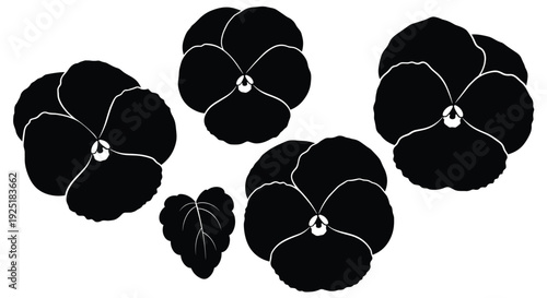 Black silhouette of pansy flowers and leaves on a white background