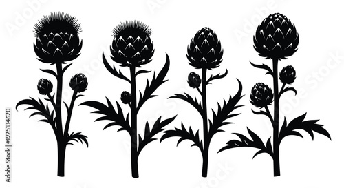 Silhouettes of artichoke plants with buds and leaves on a white background