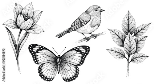 Vintage stipple illustration of a bird, butterfly, flower, and leaves on a white background