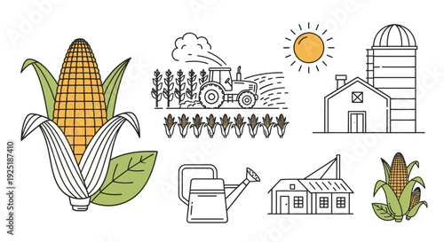 Corn Farming Illustrations with Agricultural Elements.