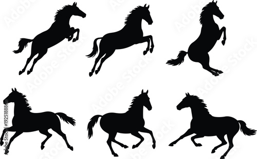 Black rearing horse silhouettes isolated on white background, powerful equine stallion poses, dynamic wild mustang clipart illustration set