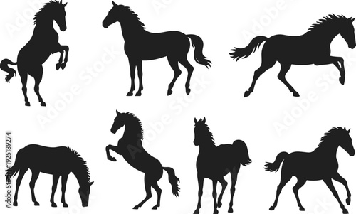 Set of horse silhouettes in different poses, rearing running standing grazing equine collection isolated on white background vector illustration