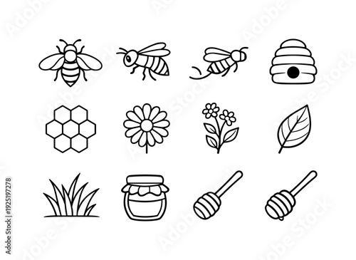 garden bees outline drawing. Line outline icon set of garden bees outline drawing: bee top view, bee side view