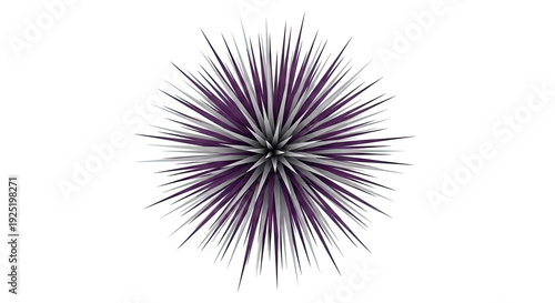 Abstract Spiky Purple and Silver Starburst