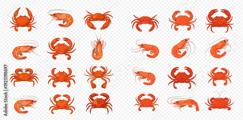 Set of cartoon red crabs and shrimp, fresh seafood collection on transparent background.