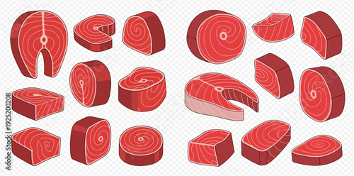 Set of fresh salmon fish steaks and fillets, raw seafood slices for cooking.