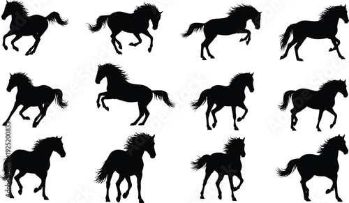 Collection of twelve black horse silhouettes in various galloping and trotting poses on white Vector, illustration