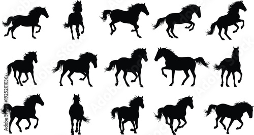 Collection of fifteen horse silhouettes in various dynamic poses on a plain white background Vector, illustration