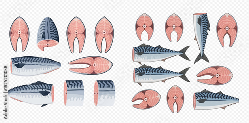 Set of fresh mackerel fish and steaks for cooking, healthy seafood.