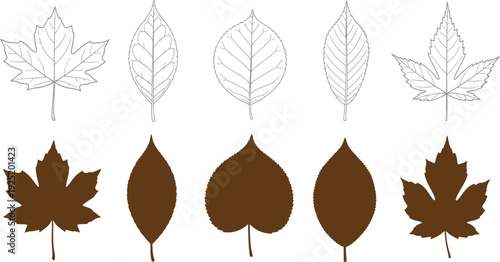 Collection of brown and gray leaves illustrations