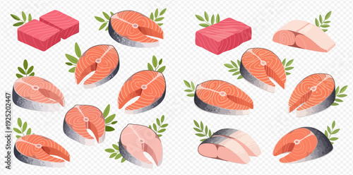 Fresh salmon and tuna fish steaks and fillets with green herbs, seafood illustration.