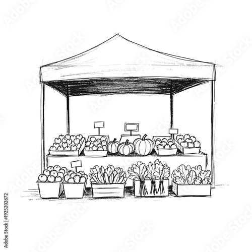 Hand-drawn farmers market stall with crates of apples, pumpkins and fresh produce under canopy