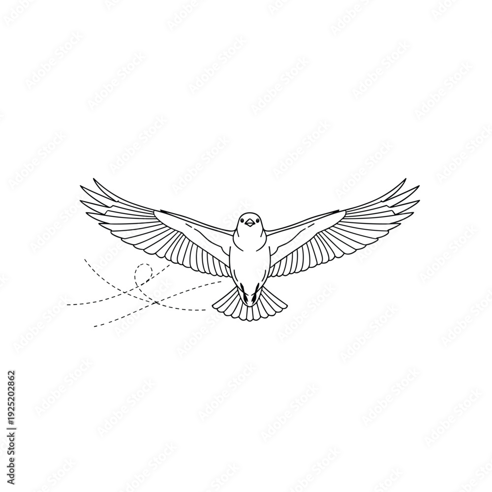 Fototapeta premium Minimalist line art illustration of a bird in flight with outstretched wings and dotted flight path