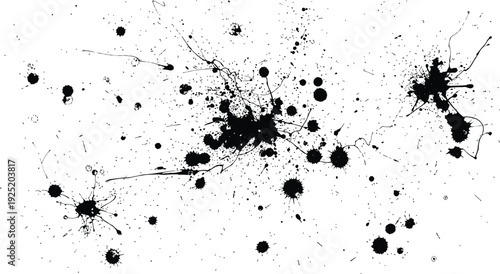 Abstract black ink splatters and droplets on a white background with a textured appearance Vector, illustration