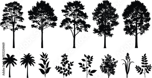 Collection of black tree and plant silhouettes isolated on white background, diverse botanical forms including palms, shrubs, and flowering plants for landscape, ecology, and design concepts