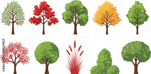 Collection of stylized seasonal trees and plants with colorful foliage variations isolated on white background, botanical illustration showing spring, summer, autumn diversity for eco design concepts