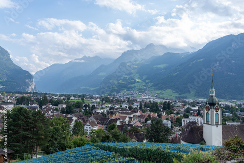 Bilde på lerret Altdorf vineyard overlooking town and Swiss Alps