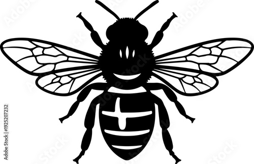 Black and white illustration of a bee with wings spread, showcasing intricate wing patterns and body segments