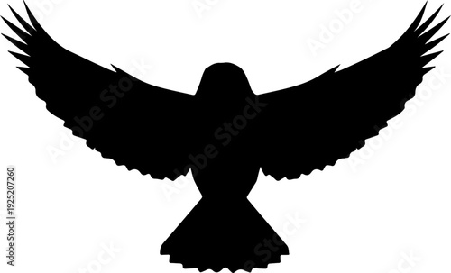 Silhouette of a Bird in Flight with Wings Spread Wide Open