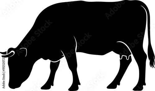 Silhouette of a cow grazing in a field, illustrating farm animals and livestock