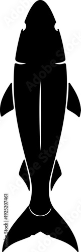 Silhouette of a shark swimming from above, a symbol of ocean danger and marine life