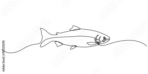 Salmon fish in one continuous line art drawing style vector illustration, Single line drawing of a leaping salmon, aquatic elegance, Fresh salmon fish in continuous line art drawing, Monoline Fishing