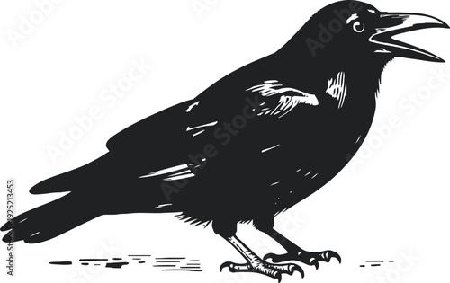 Black crow standing with open beak detailed silhouette illustration on white background