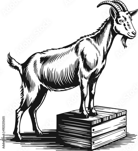 goat standing on wooden crate farm animal with horns and beard, rustic barnyard livestock illustration